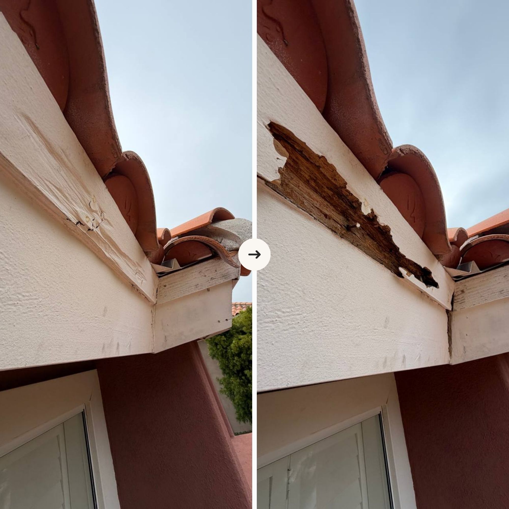 Exterior Wood Repair & Restoration photo 4