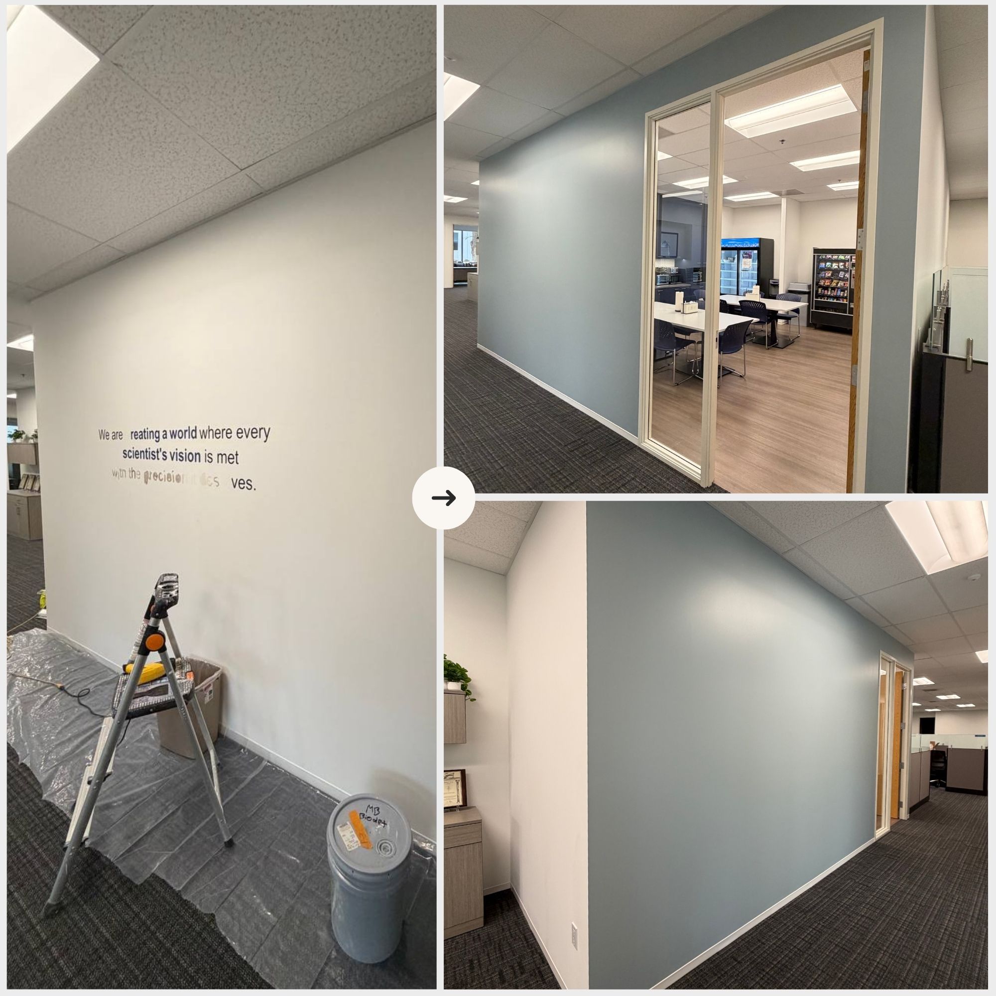 Interior Painting photo 18
